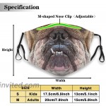 Washable Reusable English Bulldog Outdoor Mask with 2pcs Carbon Filters for Mens&Womens at Women’s Clothing store