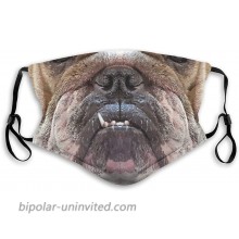 Washable Reusable English Bulldog Outdoor Mask with 2pcs Carbon Filters for Mens&Womens at  Women’s Clothing store