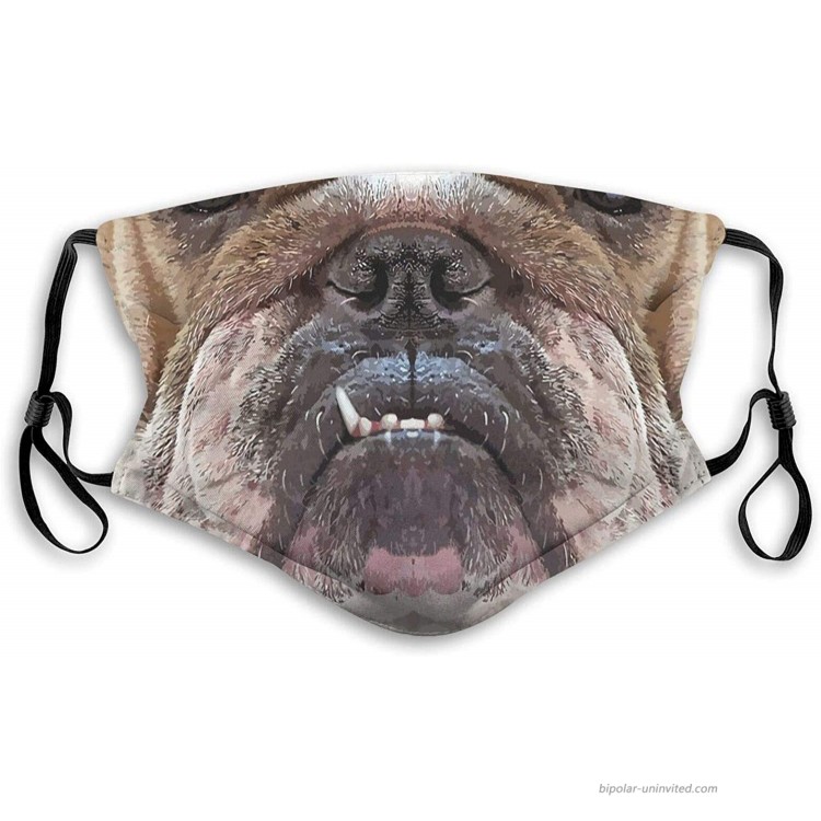 Washable Reusable English Bulldog Outdoor Mask with 2pcs Carbon Filters for Mens&Womens at Women’s Clothing store
