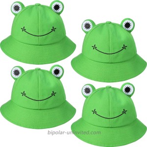 4 Pieces Frog Bucket Hat Cute Adult Fisherman Hat Animal Sun Frog Hat Wide Brim Beach Summer Hat for Women Teens Girls Outdoor Sports at  Women’s Clothing store