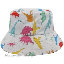 Cute Dinosaur Bucket Hat Unisex Pattern Sun Protection Wide Brim Dino Bucket Hats for Adult Reversible Packable