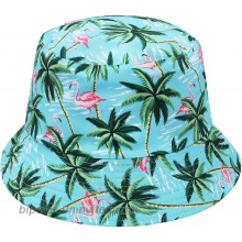 GREEVIS Unisex Fashion Summer Bucket Hat Sun Hat Fisherman's Hat for Men Women Teens Flamingo at  Women’s Clothing store